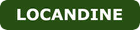 menu item icon